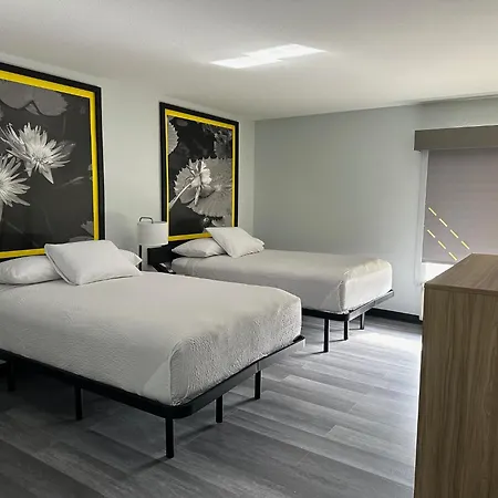 Hotel Super 8 By Wyndham Alexandria La Extérieur photo
