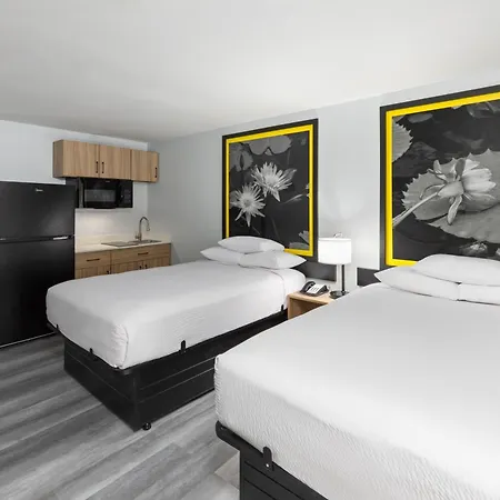 Super 8 By Wyndham Alexandria La Hotel Exterior photo