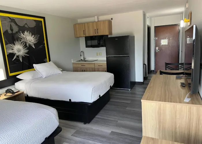 Super 8 By Wyndham Alexandria La